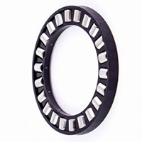 INA K81124-TV/-4 Cylindrical Roller Bearing with Cage (assembly)